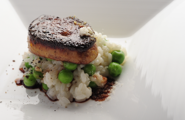 カノフィーロ ギャラリー