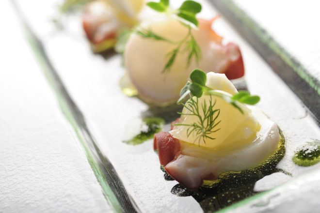 カノフィーロ ギャラリー