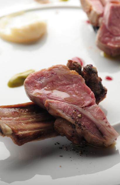 カノフィーロ ギャラリー