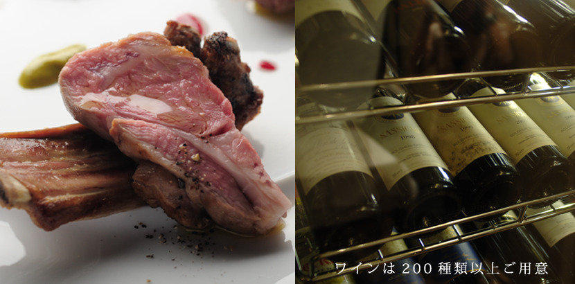 カノフィーロ ギャラリー